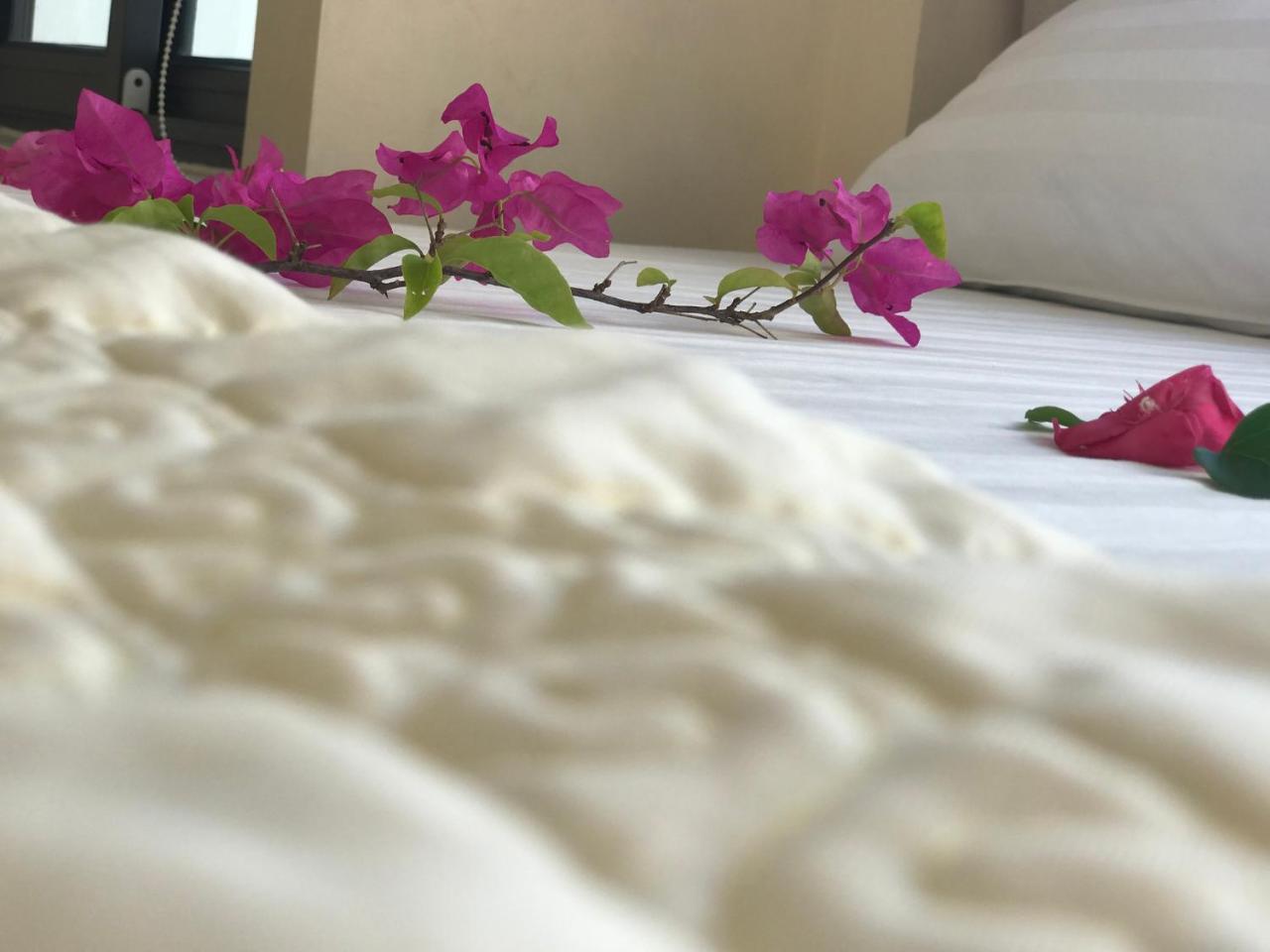 Ha Vy Hotel Cat Ba Island Buitenkant foto