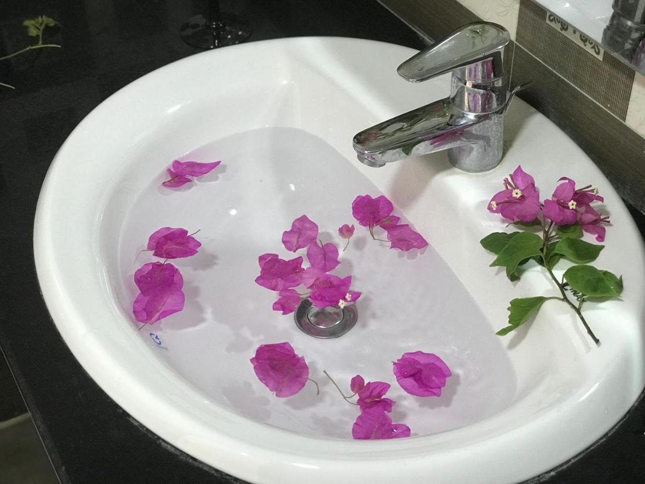 Ha Vy Hotel Cat Ba Island Buitenkant foto