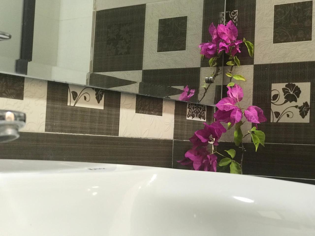Ha Vy Hotel Cat Ba Island Buitenkant foto
